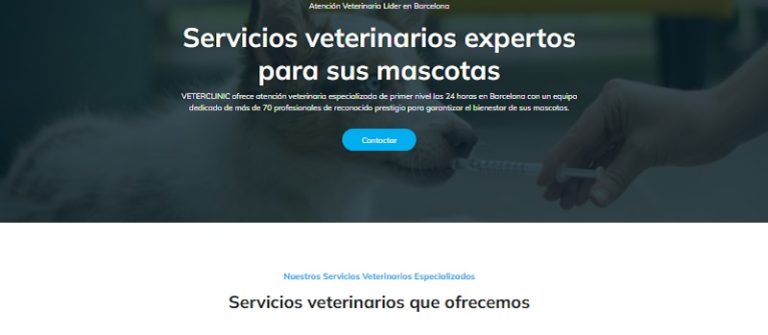 Diseñador Web WordPress ejemplo 1