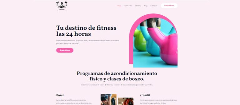 Diseñador Web WordPress ejemplo 4